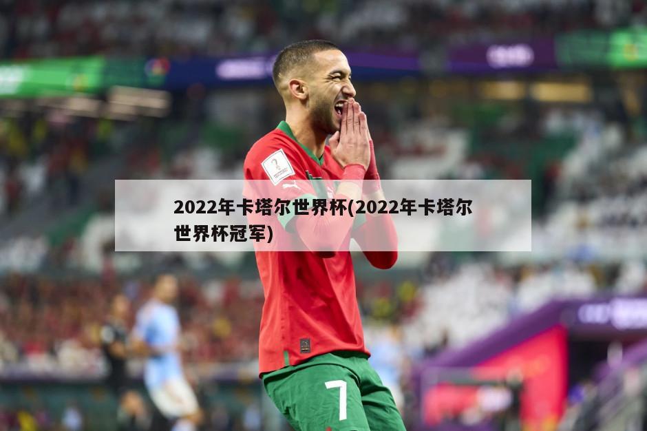 2022年卡塔尔世界杯(2022年卡塔尔世界杯冠军)