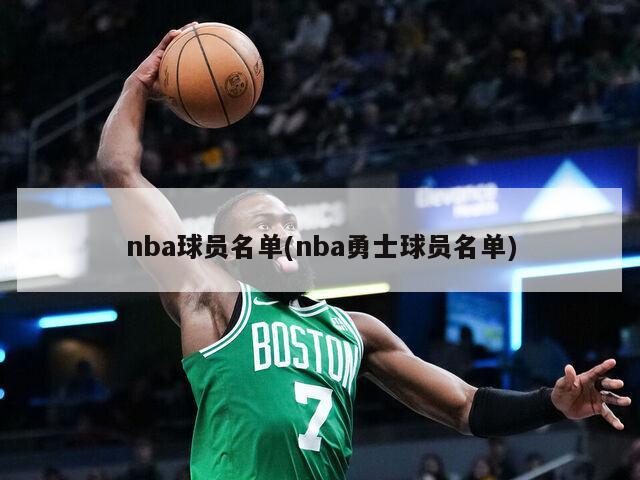 nba球员名单(nba勇士球员名单)