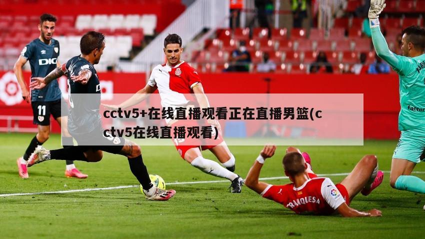 cctv5+在线直播观看正在直播男篮(cctv5在线直播观看)